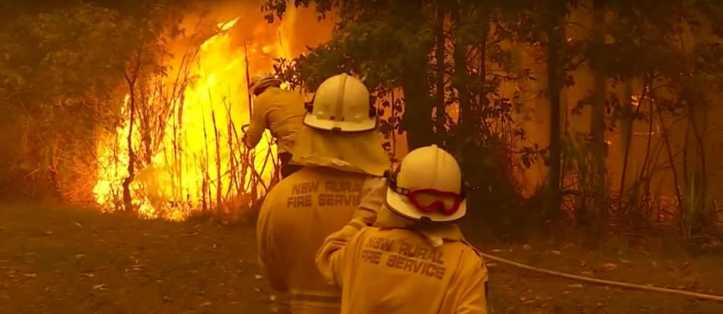 AUSTRALIA AFTER FIRES