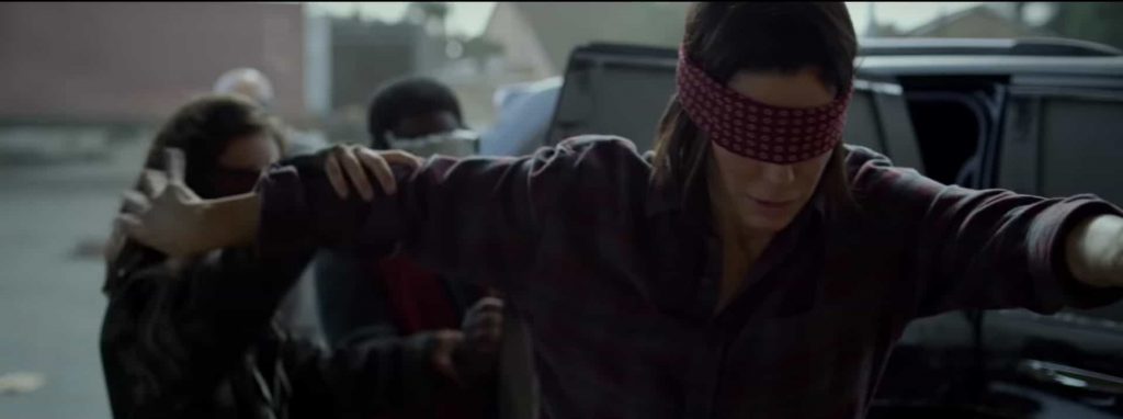 BIRD BOX