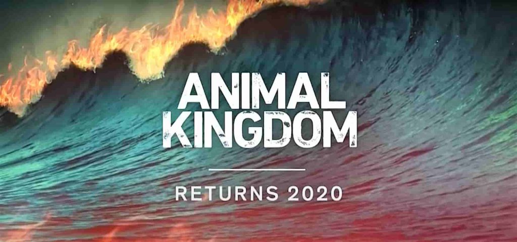 ANIMAL KINGDOM SEASON 5