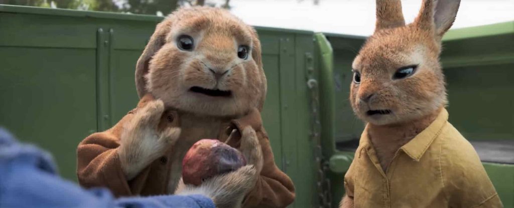 PETER RABBIT 2